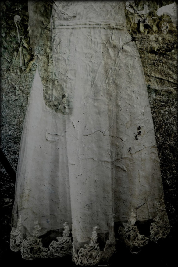 ants-2015-ashley-lily-scarlett